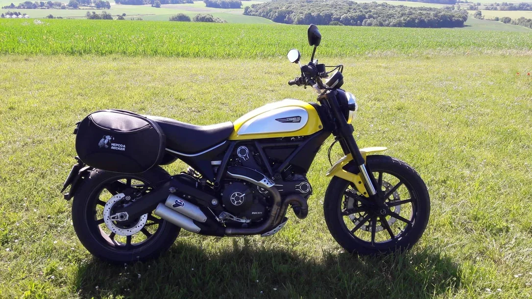 zpq1ex4xl2p